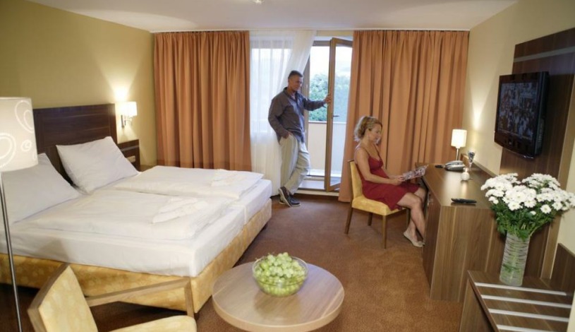 Wellness resort Energetic Rožnov pod Radhoštěm - Apartmán - standradní